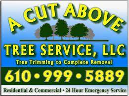 A Cut Above Tree Service LLC